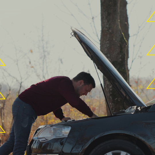 Lemon Law